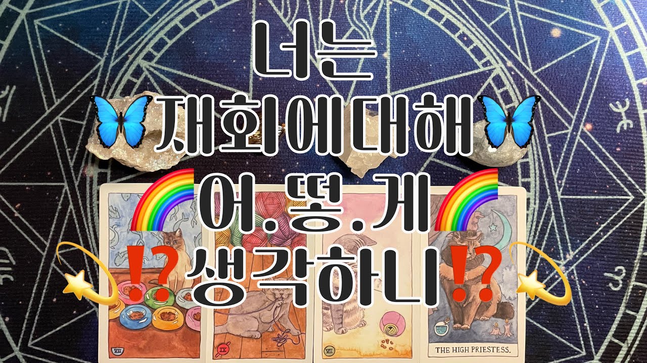 타로- 🦋너는 재회에 대해 어떻게 생각하니⁉️🦋
