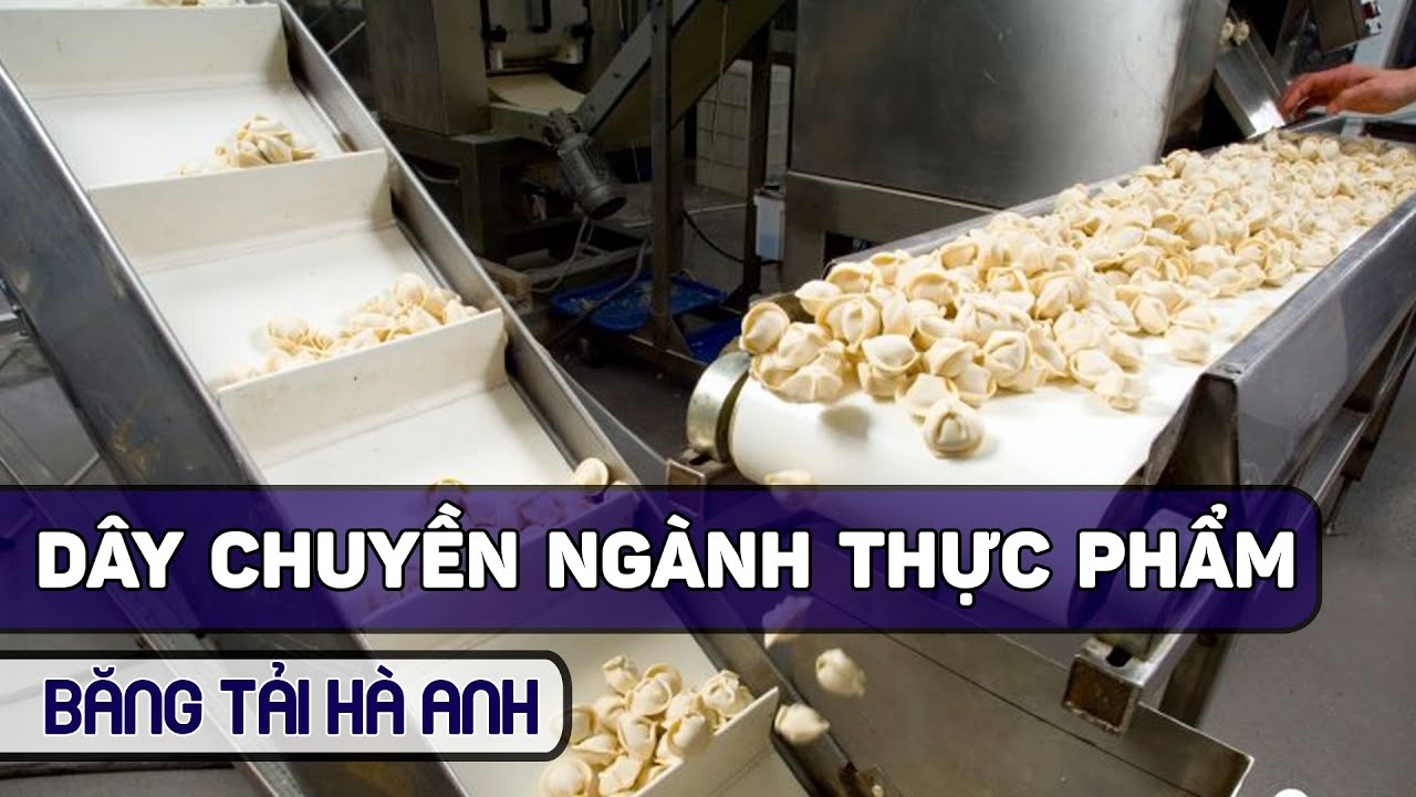 Dây chuyền sản xuất chế biến và đóng gói thực phẩm ( food industry conveyors) - Băng tải Hà Anh