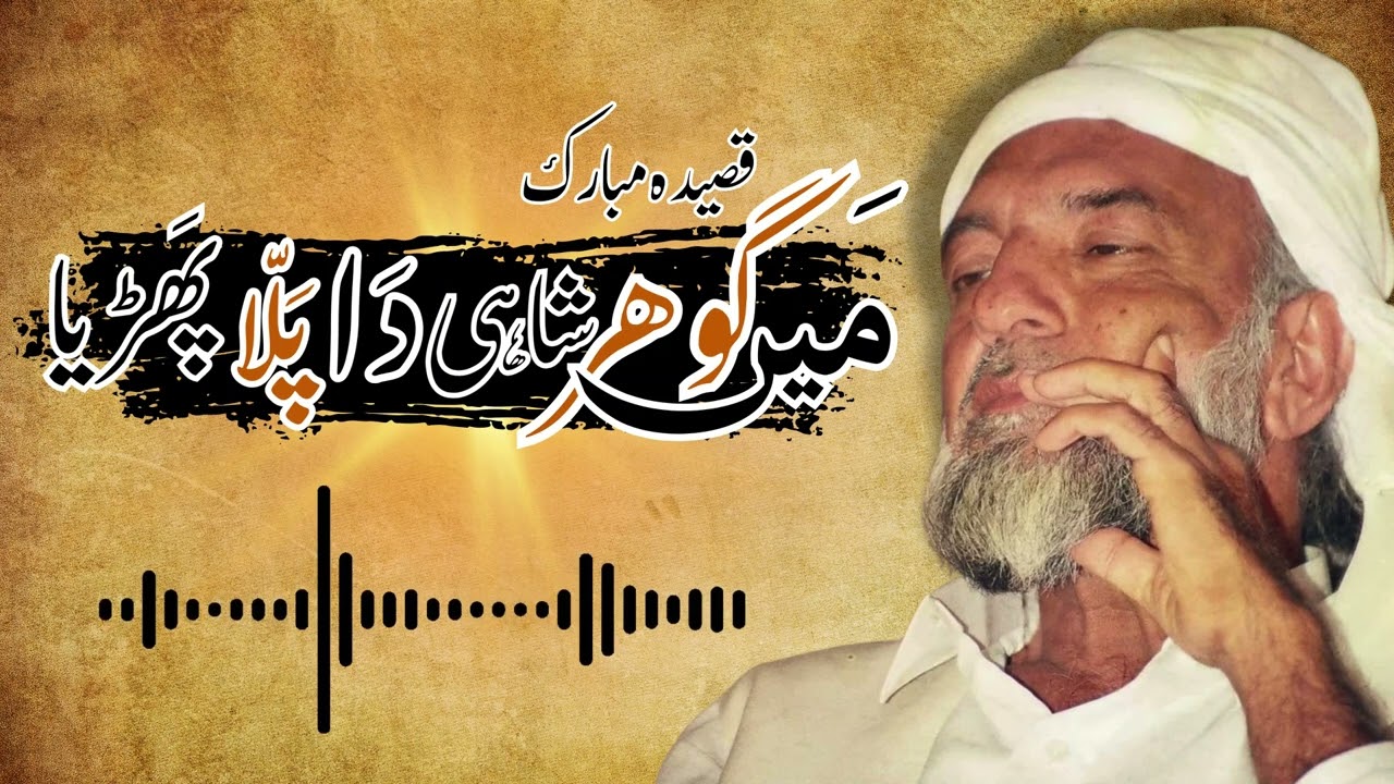 Mein Gohar Shahi Da Palla Phadya | Qaseeda Sarkar Gohar Shahi | #goharshahi #imammehdi #qaseeda