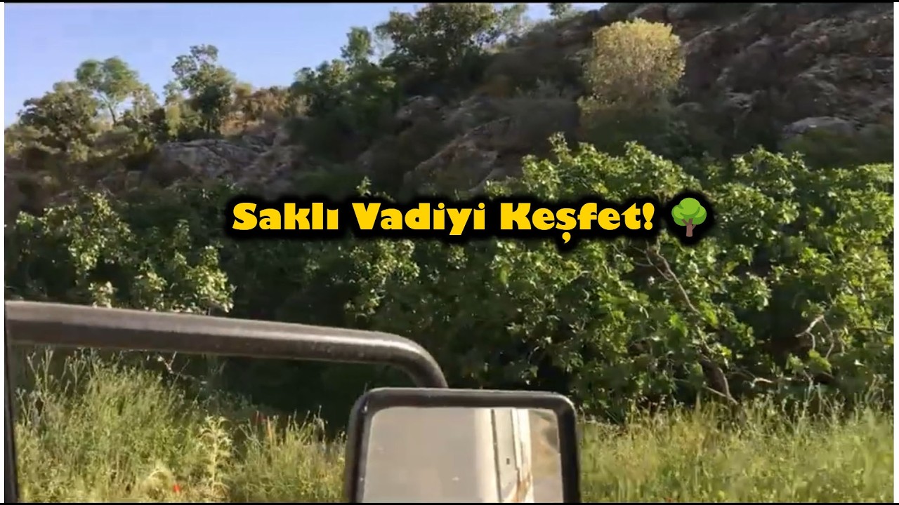 Doğanın Kalbinde Keşif | Yeşil Vadi Manzarası 🌿🌄