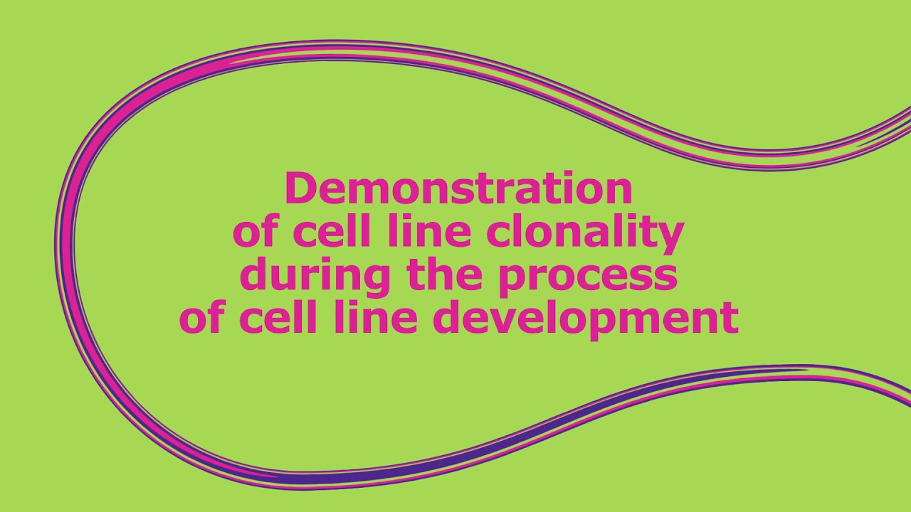 Demonstration of Cell Line Clonality During the Process of Cell Line Development
