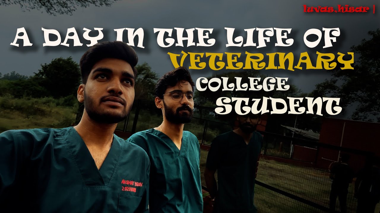 A DAY IN LIFE OF A VETRINARY COLLEGE STUDENT | LUVAS,HISAR | 96aale
