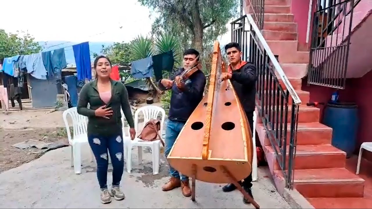 JARANA ARPA & VIOLIN / FLORCITA CORAZON DE CHACARI / ZORRITO DE CAYANTO & YEFERSON CASTRO