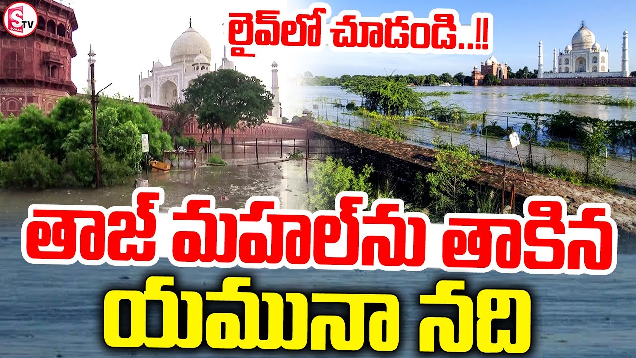 తాజ్ మహల్‌ను తాకిన యమునా నది || Yamuna River || Taj Mahal || Delhi Flood Alert Updates