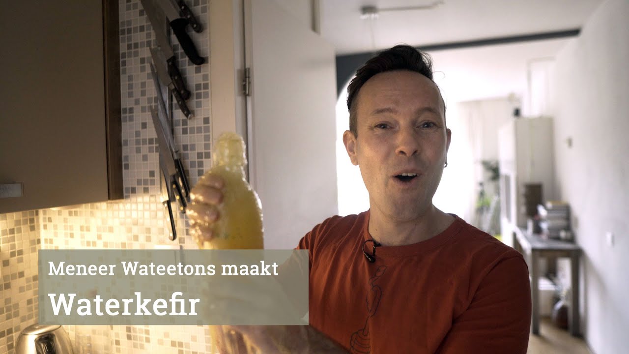 Meneer Wateetons maakt waterkefir