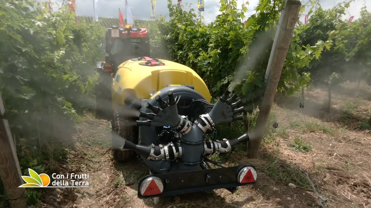 A Enovitis in Campo gamma Nobili al gran completo