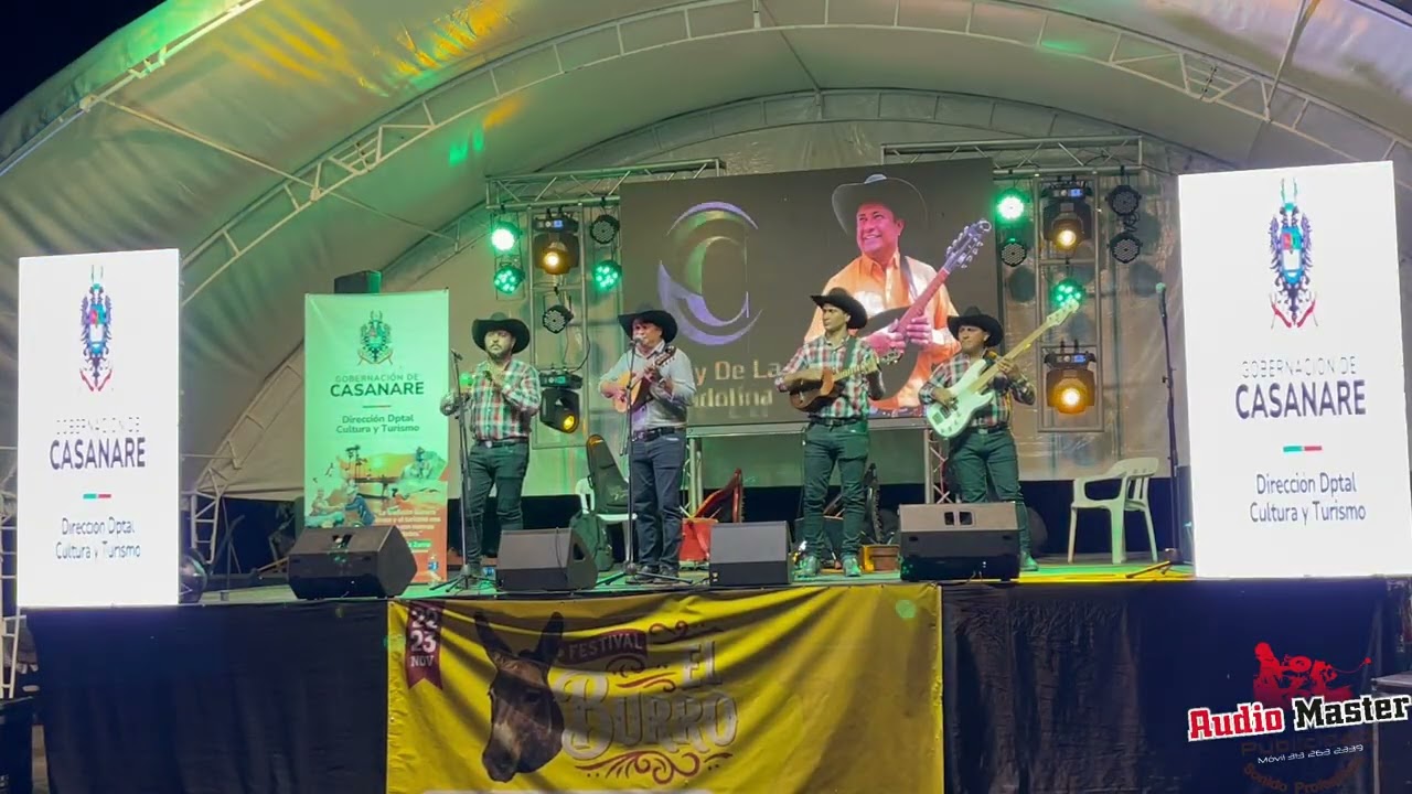 Talento y Tradición: La Mandolina de Óscar Curvelo en el Festival del Burro