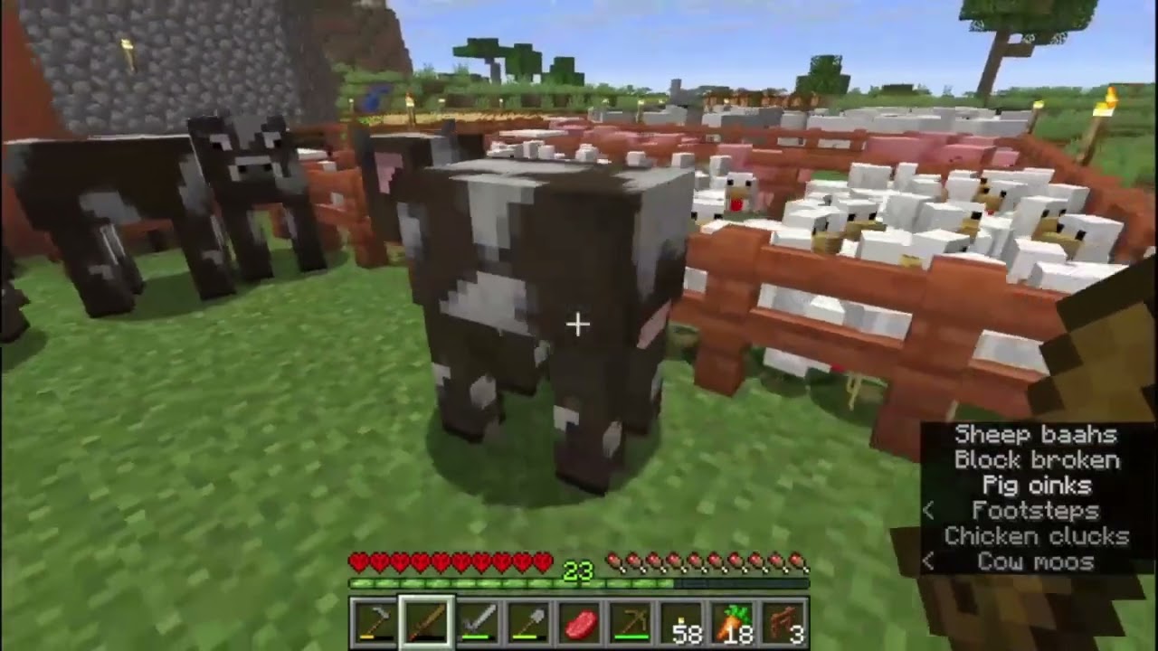 Minecraft Hardcore Ep 29