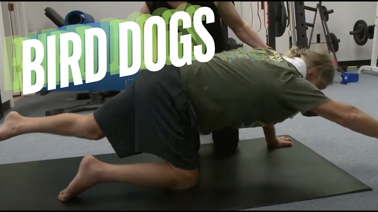 Advanced Stroke Recovery Balance:  Demonstration of Bird & Dog with Professional Support
