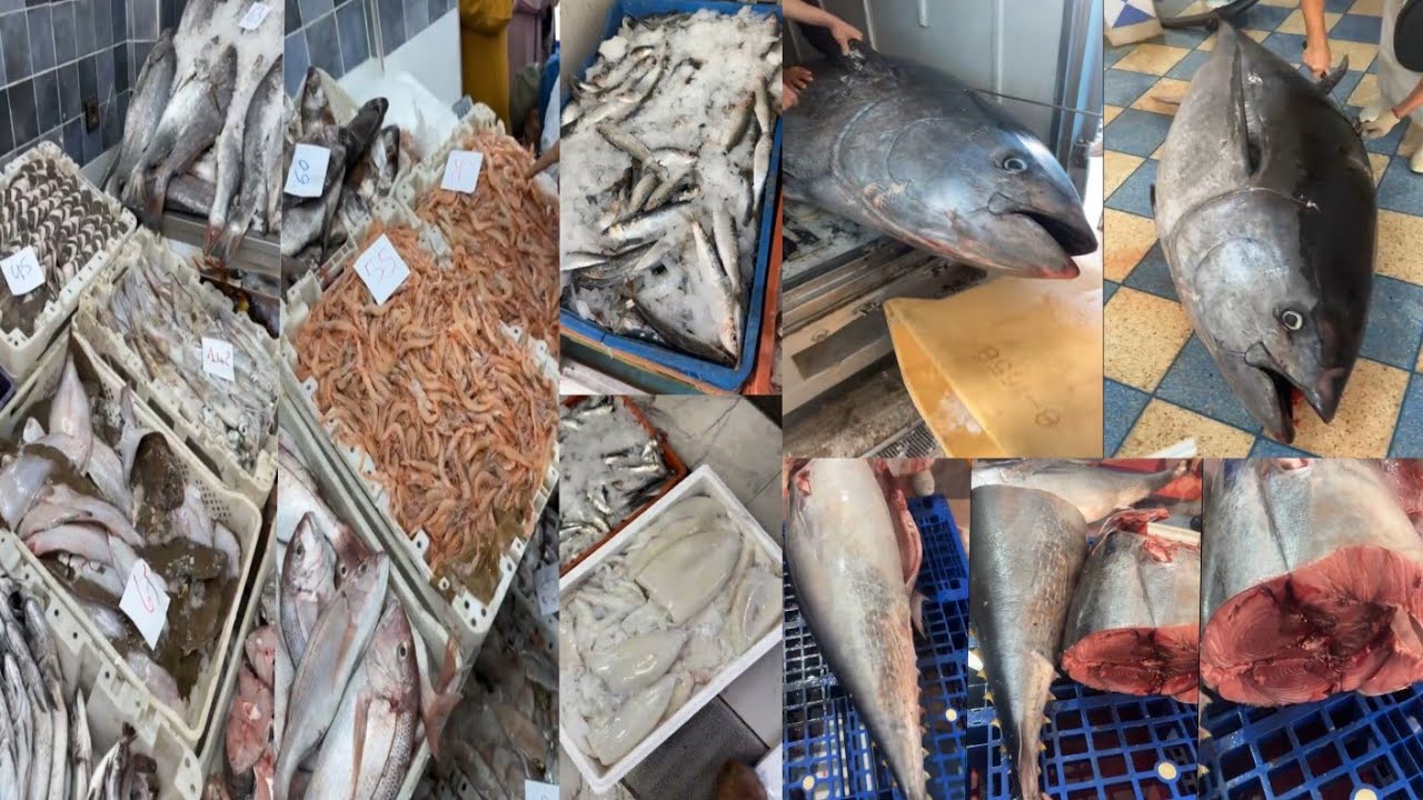ثمن السمك بالمغرب🐠🦐اليوم الثلاثاء 10 مارس 2026#المغرب🇲🇦#سوق_المغربPoisson de qualité à prix abord
