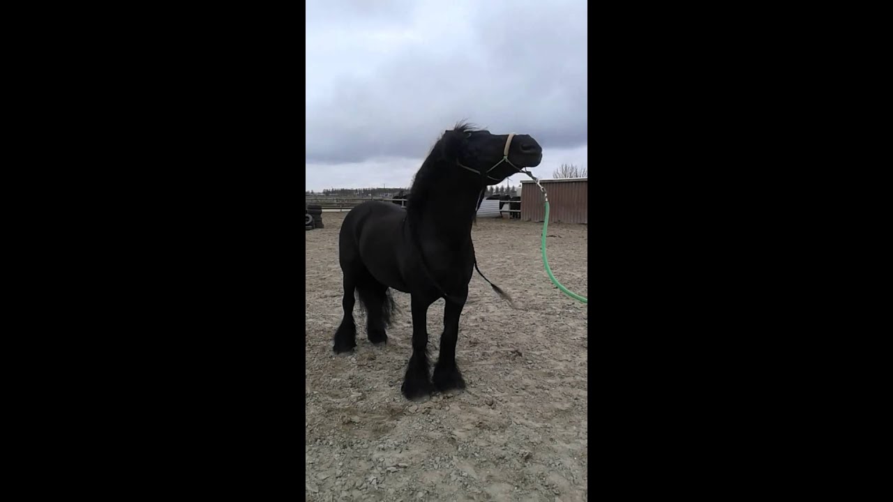 Kaylee & Eva leren spek stijgeren💕