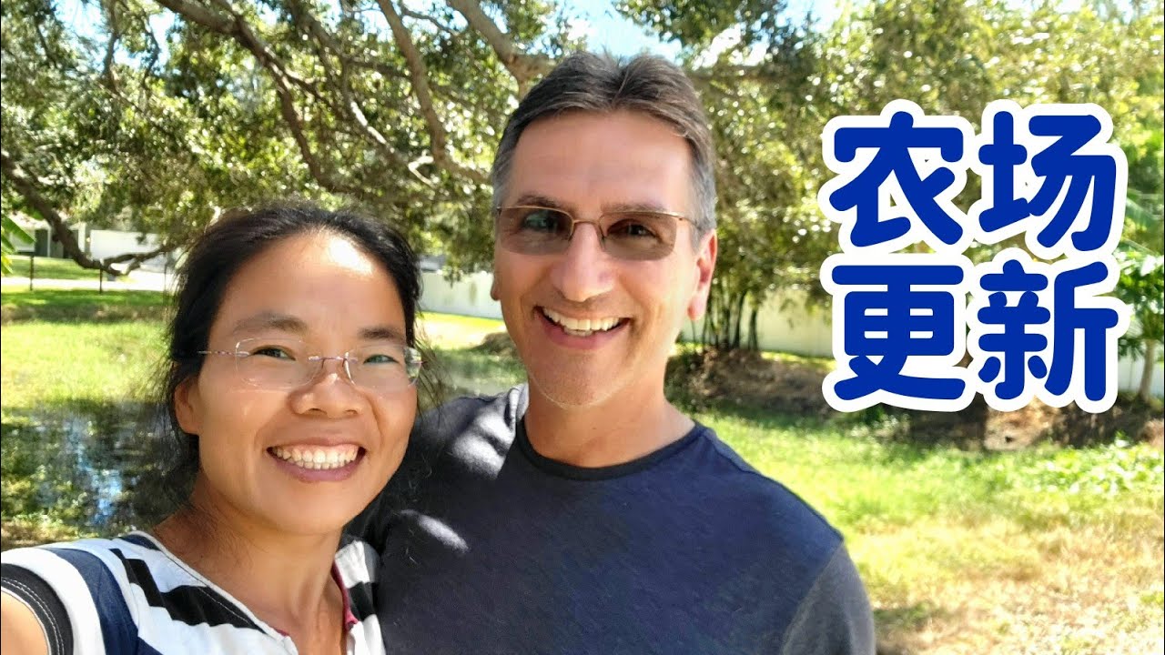 回国三个月，农场成什么样子了？今天给大家更新一下