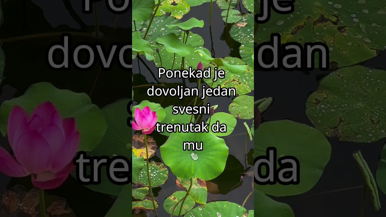 Bol, ukočenost, iscrpljenost &ndash; tvoje telo govori #oporavak #dubinskiodmor