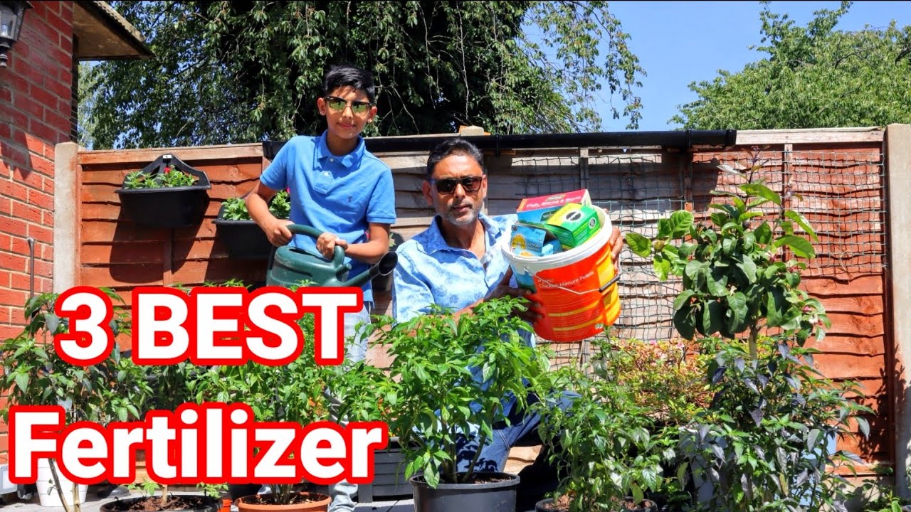 Are You Using Too Much Fertilizer | How Often Should You Fertilize Vegetable Garden