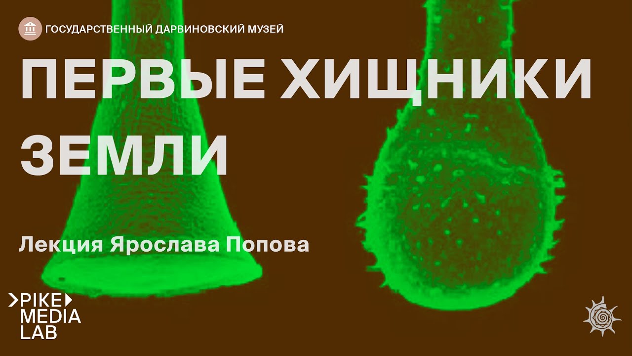Онлайн-лекция Ярослава Попова 