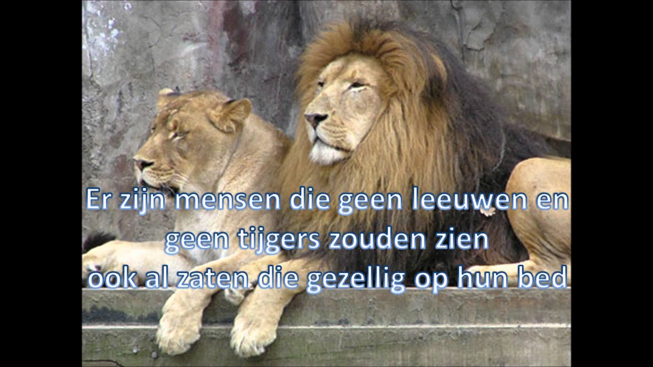 het is een wonder