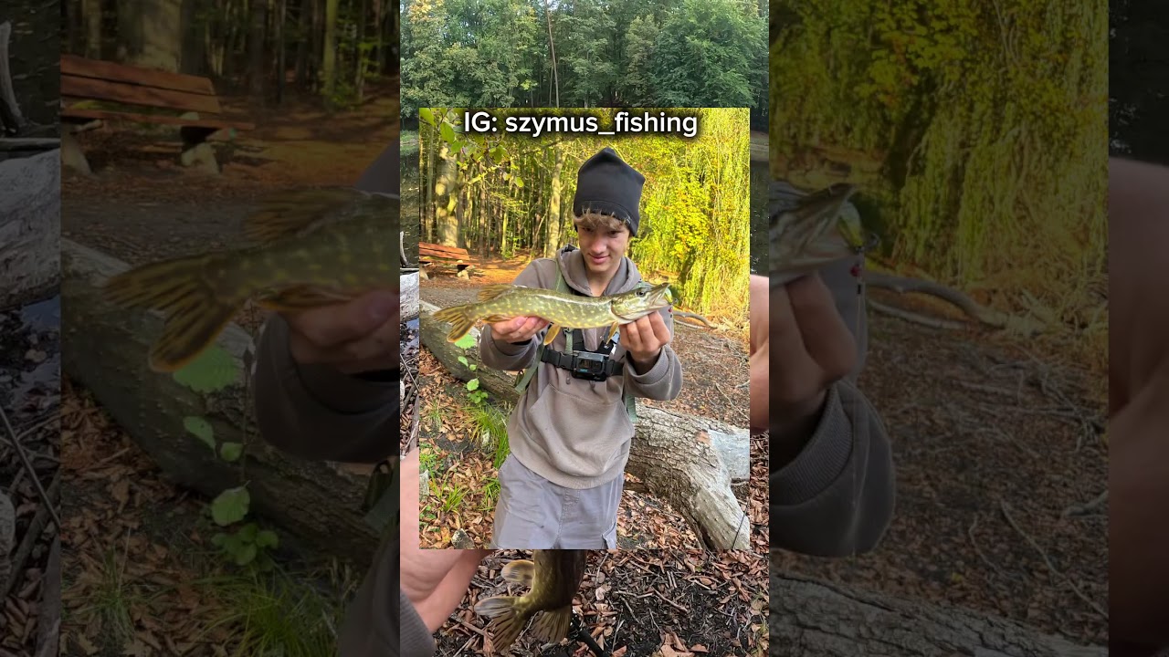 #szymusfishing #wędkarstwo #łowienieryb #typodryb #szczecin #wędkowanie #ryby #szczupak #fishing