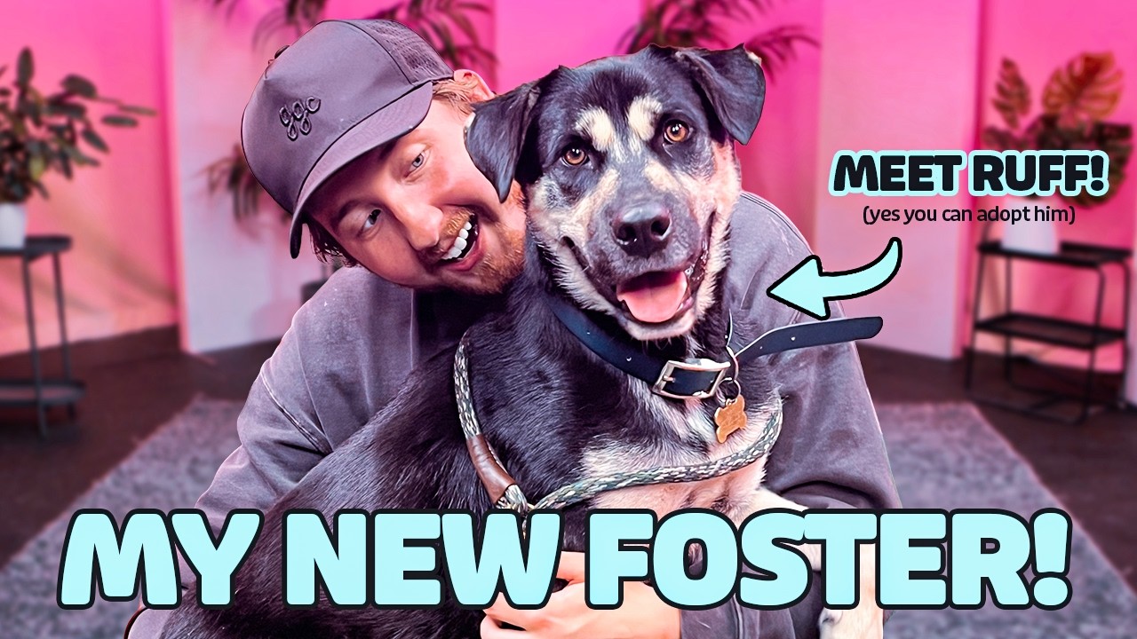 My New Foster Dog!