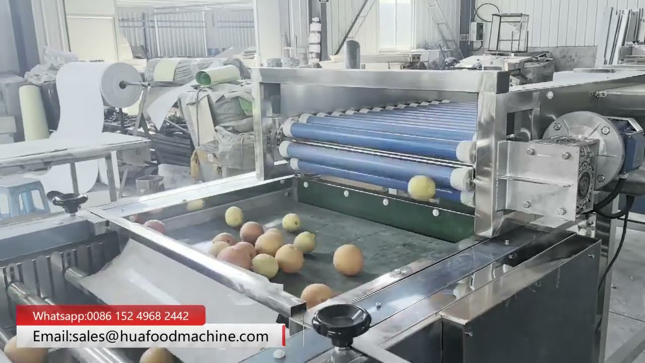 Automatic Round Vegetable Grading Machine By Roller | Factory Test Run