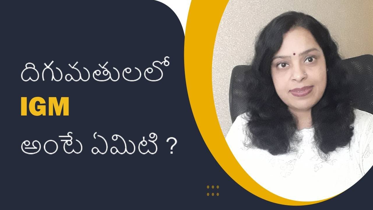 What is IGM in Imports ? | iiiEM Export Import Telugu