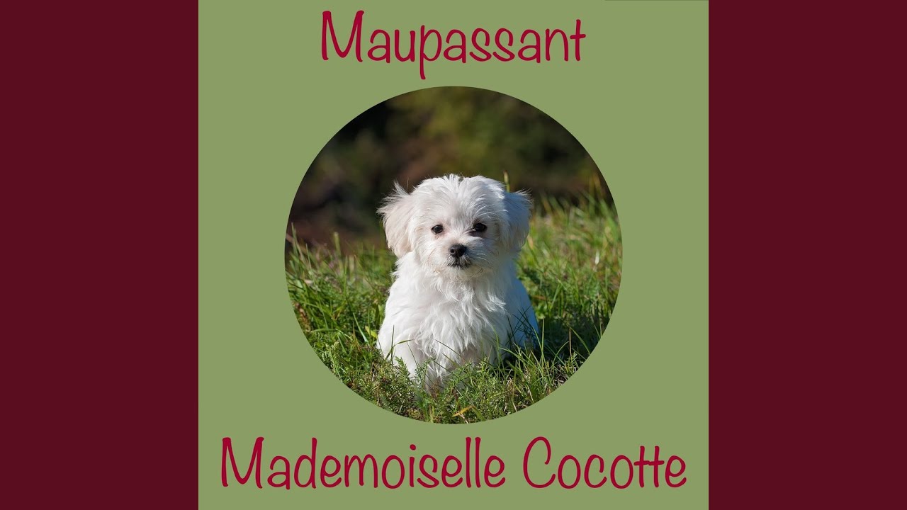 Mademoiselle Cocotte, Guy de Maupassant (Livre audio)