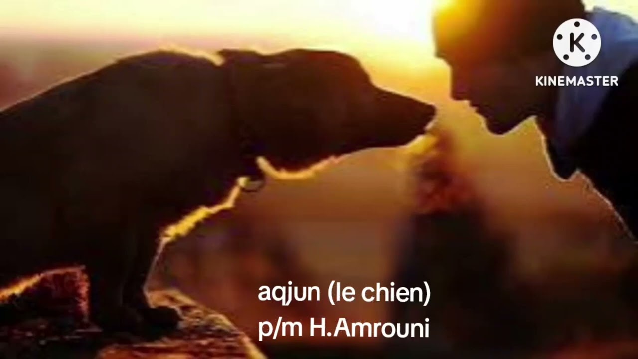 Aqjun (le chien) . P-m Amrouni hocine 