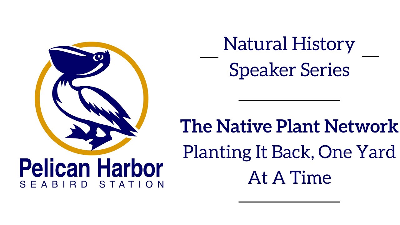 Speaker Series - The Native Plant Society