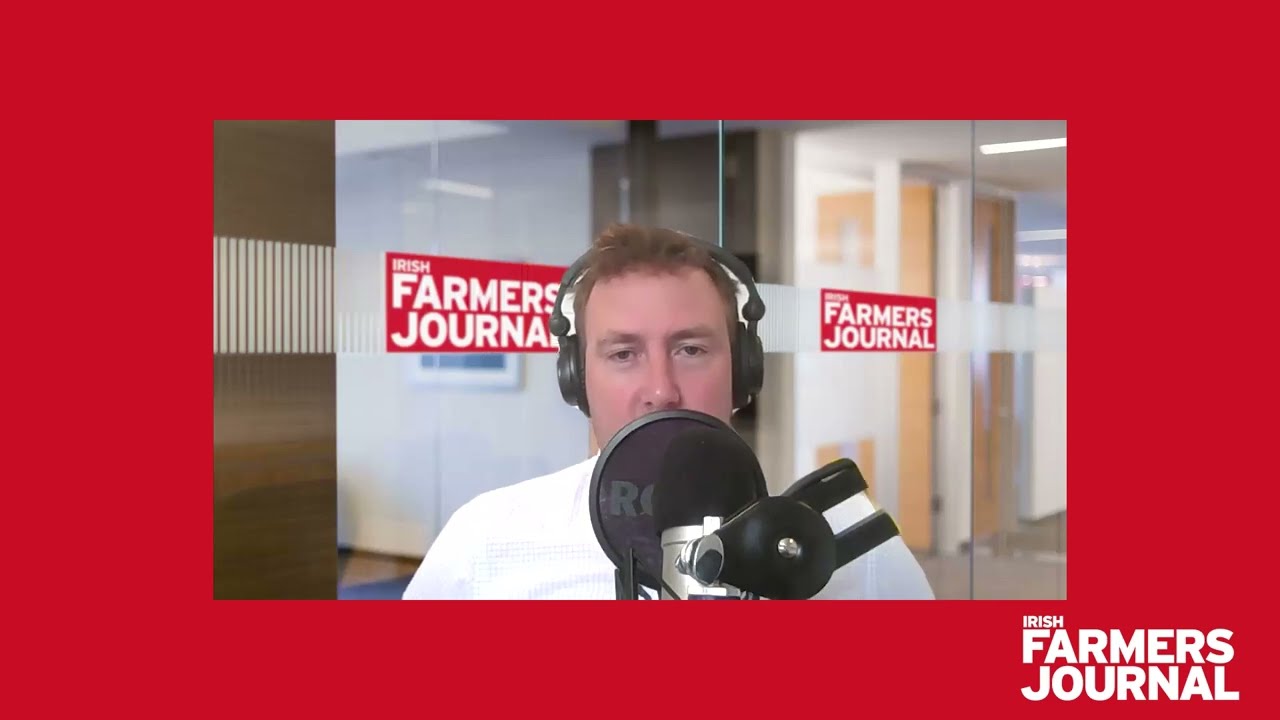 Farm Tech Talk: засуха, программа по защите благополучия мясного скота и рынок молока
