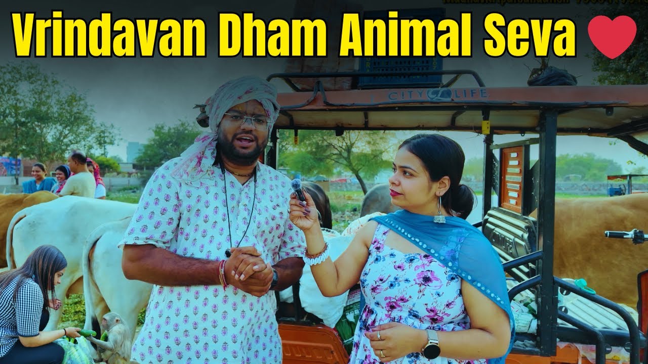 जानवरों की सेवा = श्रीकृष्ण की सच्ची पूजा 🐄🙏 | Vrindavan Dham 💫 