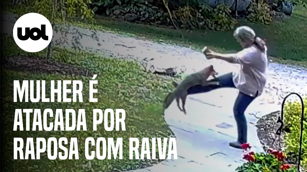 Mulher &eacute; atacada por raposa com raiva ao sair de casa nos EUA