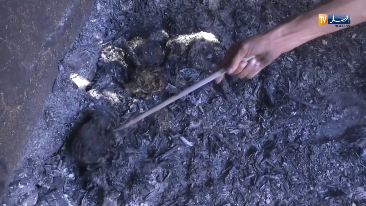 تيزي وزو: الحرائق تكبد مربي الدواجن خسائر كبيرة