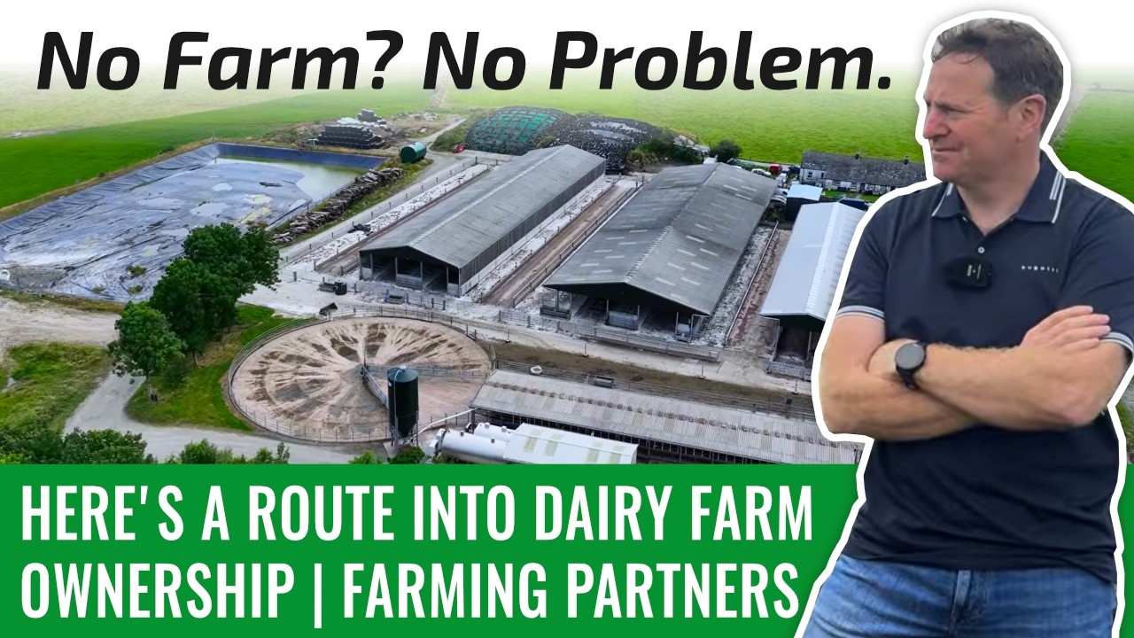 Нет своей фермы? Не проблема. Как стать владельцем молочной фермы | Farming Partners
