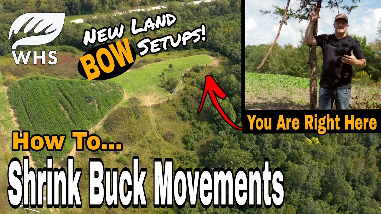 7 New Big Buck Bowhunting Setups