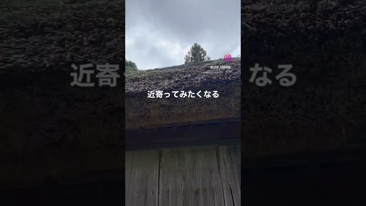 茅葺き屋根の家を見ると近寄ってみたくなる。日本人だなあ