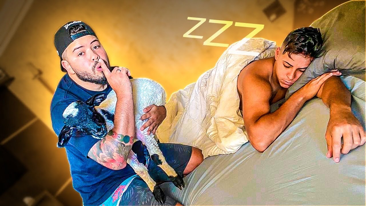 ACORDEI MEUS AMIGOS COM UMA CABRA