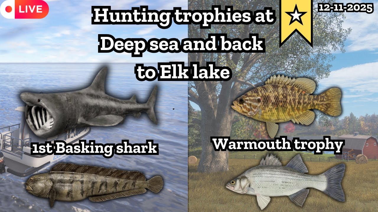 Deep sea trophy hunt | Back to elk lake | Russian fishing 4 | Nanstein |  