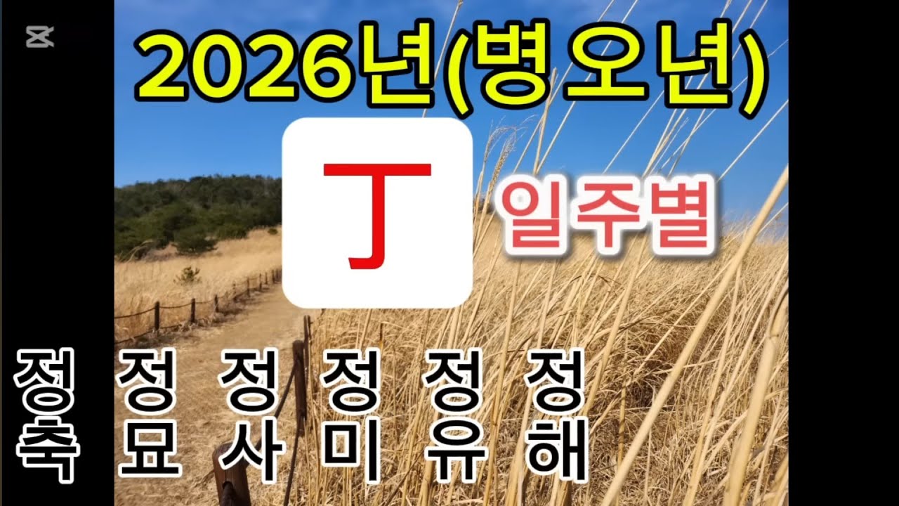 병오년(26년) 일주별 세운_정화일주
