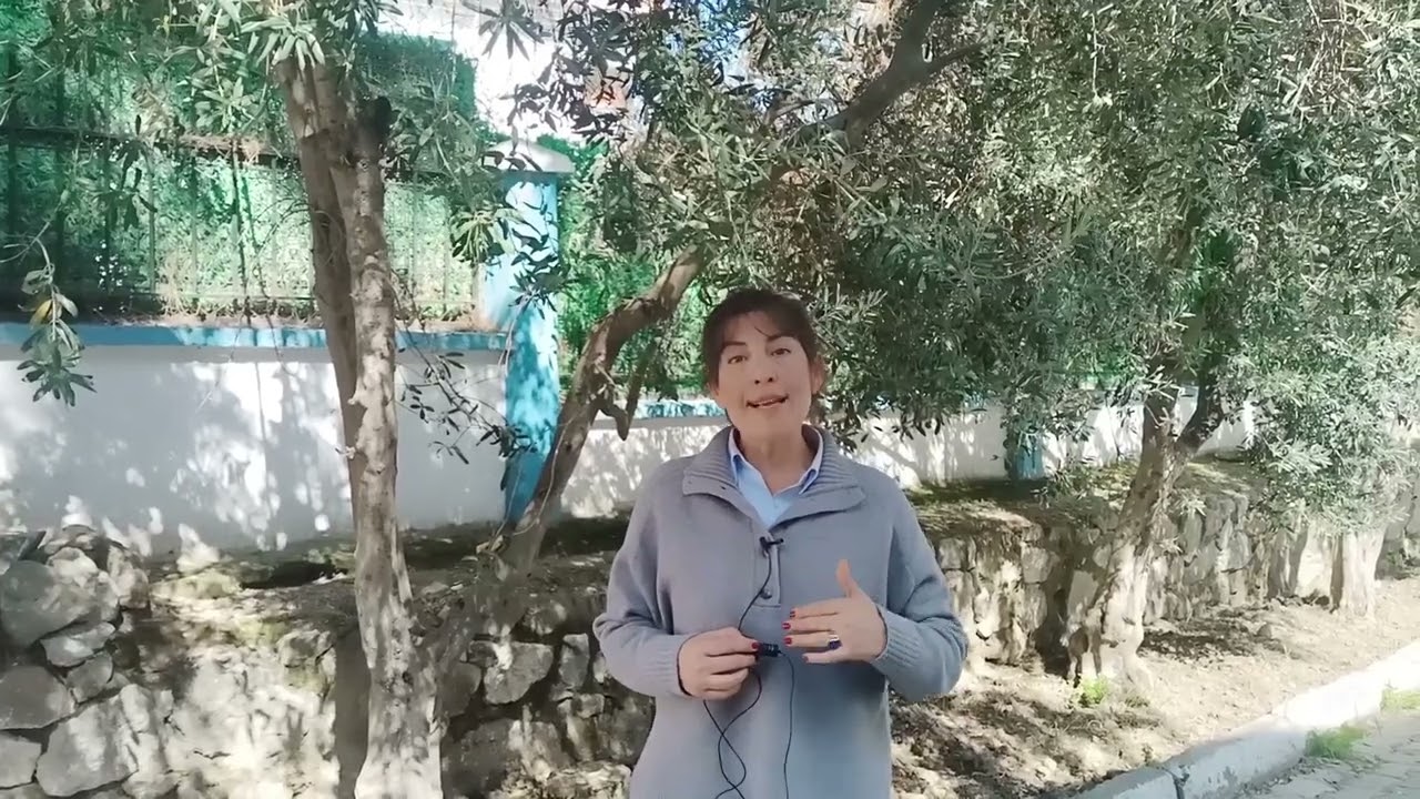 Tarla Faresi ile Mücadele