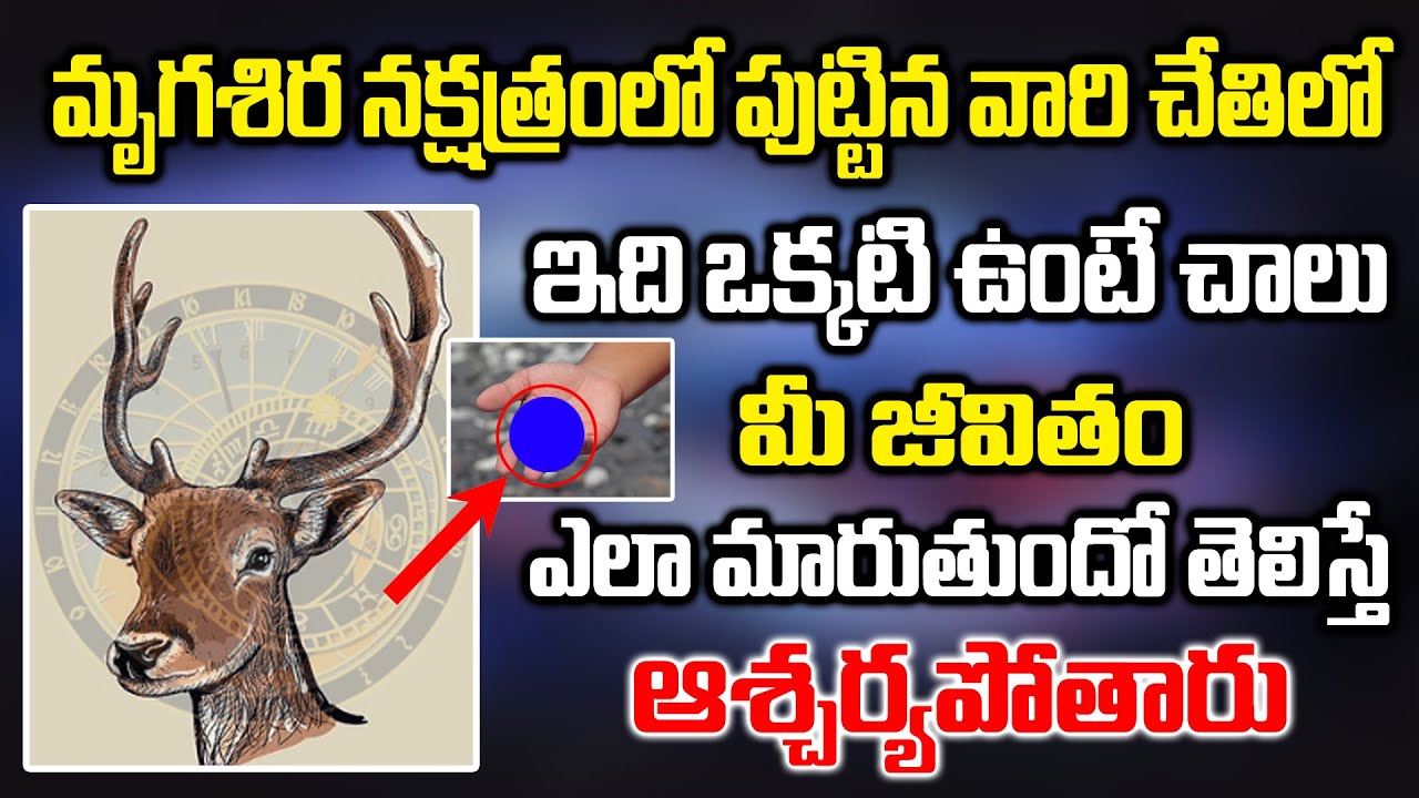 మృగశిర నక్షత్రంలో పుట్టినవారి చేతిలో ఇది ఒక్కటి ఉంటె మీ జీవితం మారిపోతుంది ||Mrigasira Nakshatram