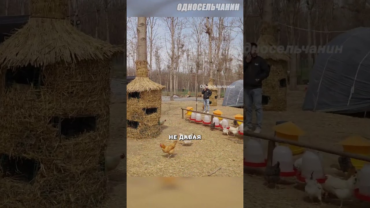 Зачем дереву гнездо? #новости #агротехнологии #сельскоехозяйство #китай