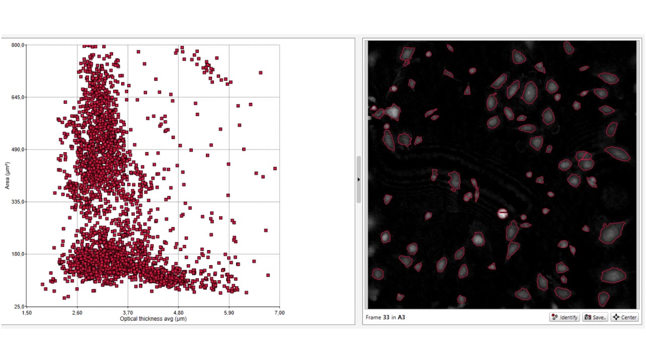 Drug Dose-Response & Live-Cell Tracking | Live Cell Imaging made Easy