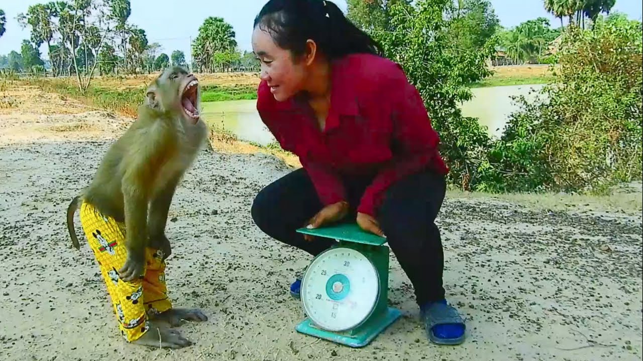 Too Heavy !!! SokYaa Can't Believe This, Best Video