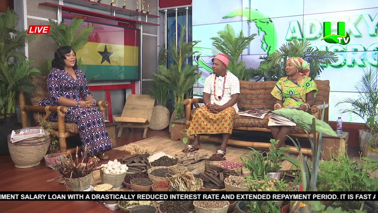 ADEKYE NSROMA 13/03/2026