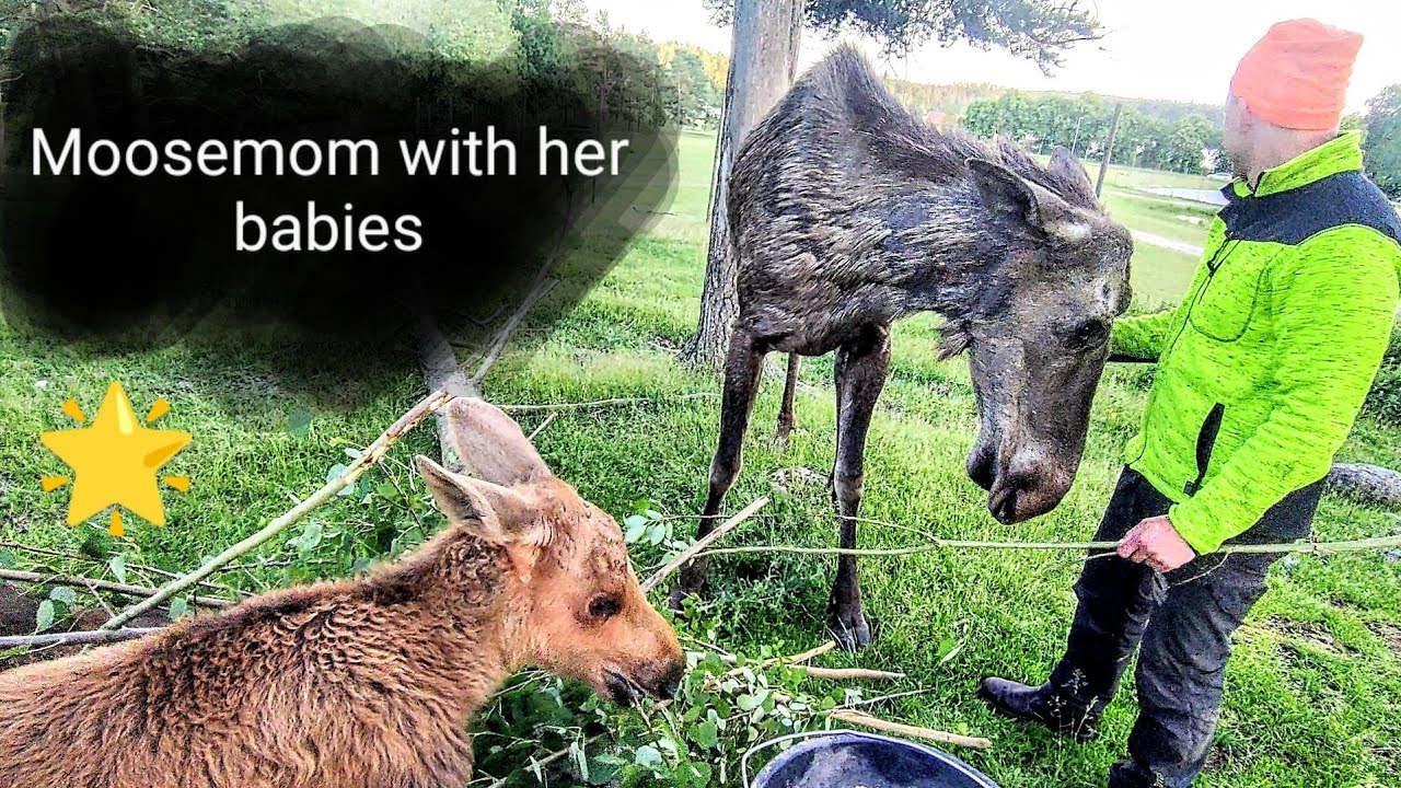 Does she accept humans?