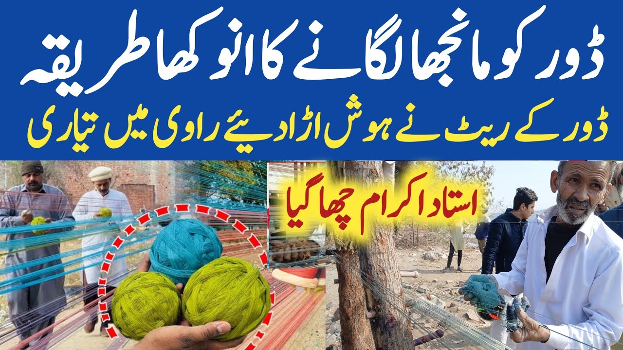 Basant in Lahore Dor ki Qeemat Latest | Dor Aur Ghuda ke Price | Basant in Lahore 2026