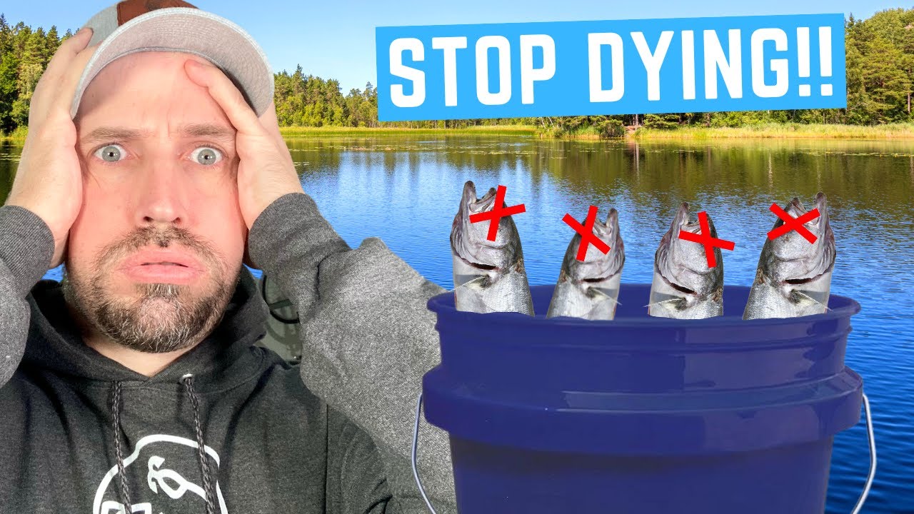 How to KEEP BAIT ALIVE for LONGER in a Bucket or Cooler