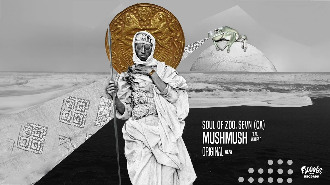 Soul of Zoo & SEVN - MushMush Feat. Walead