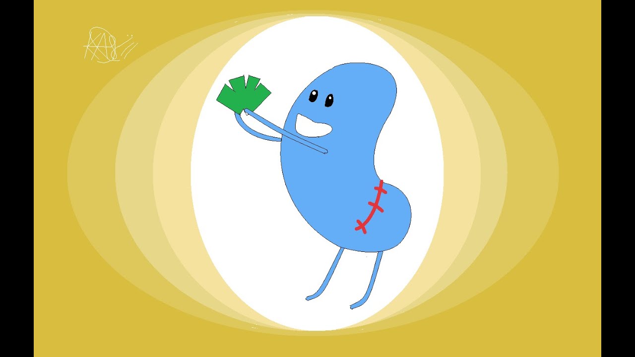 Drawing Dumb Ways To Die (Sell Your Kidney On The Internet)