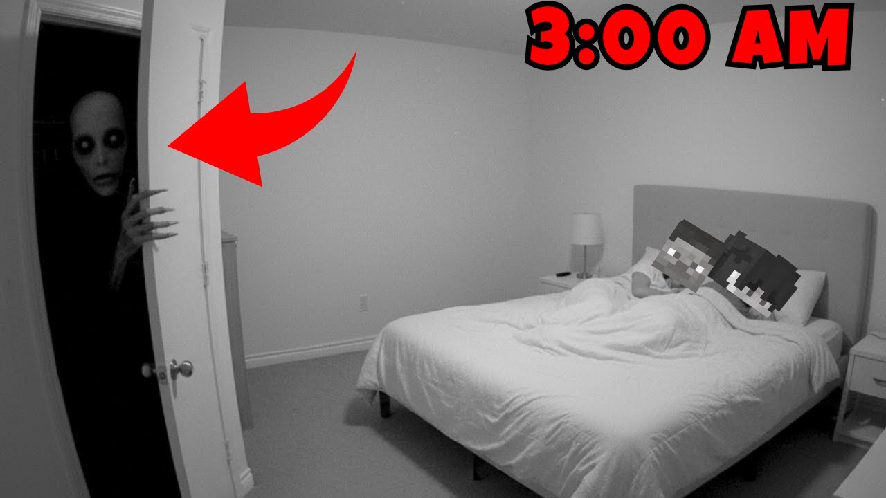 They Set Up Cameras Everywhere… But Something Unexpected Happened 😨