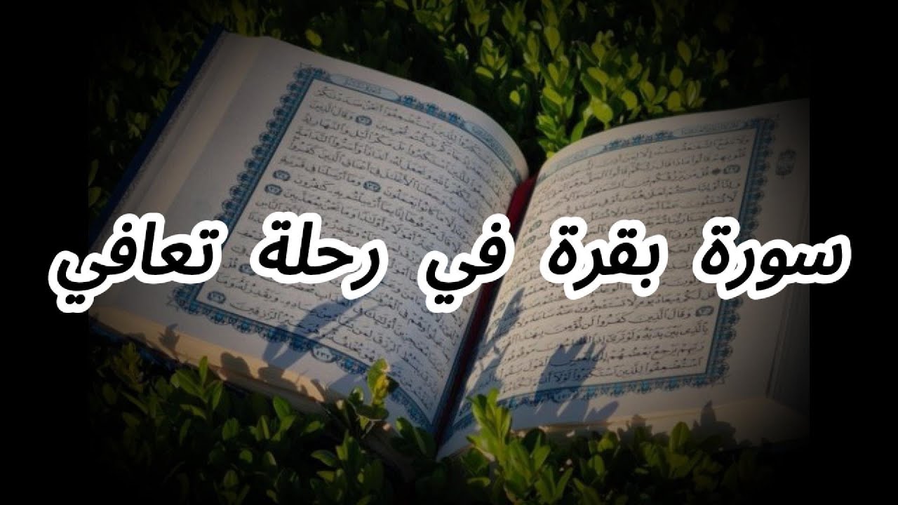 سورة بقرة في رحلة تعافي (  مذمن متعافي  )